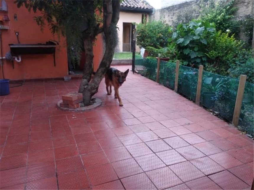 Lote en venta en Centro Historico, Chía, 786 m² · foto 22 de 24