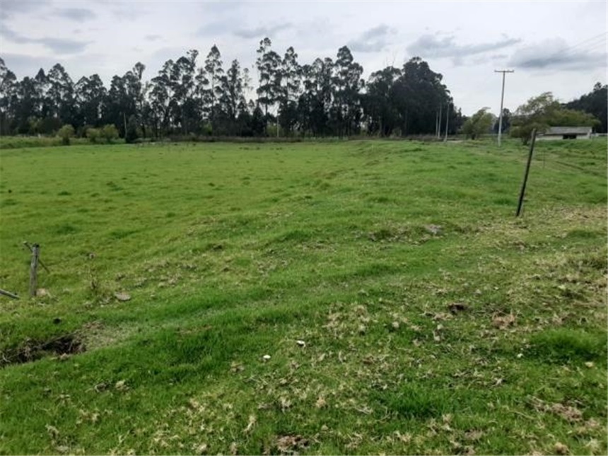 Lote en venta en San Francisco, Mosquera, 32661 m² · foto 2 de 12