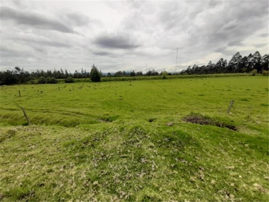 Lote en venta en San Francisco, Mosquera, 32661 m² · foto 8 de 12