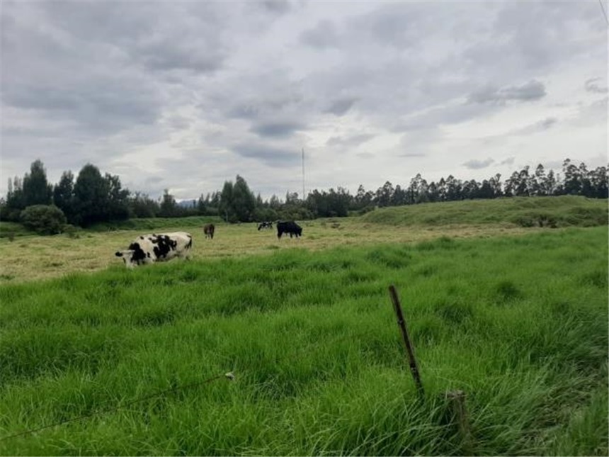 Lote en venta en San Francisco, Mosquera, 32661 m² · foto 4 de 12