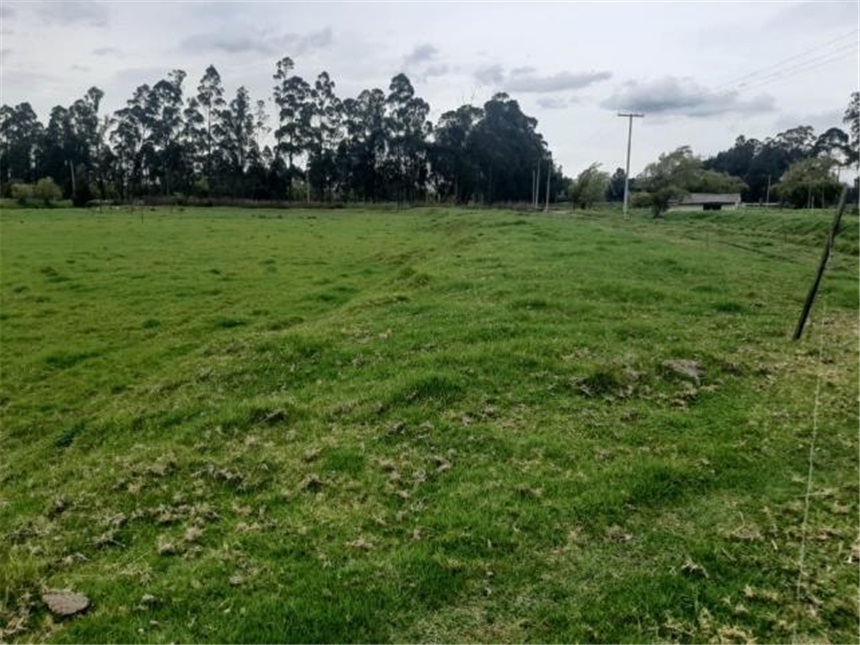Lote en venta en San Francisco, Mosquera, 32661 m² · foto 9 de 12
