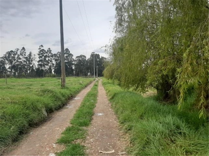 Lote en venta en San Francisco, Mosquera, 32661 m² · foto 6 de 12