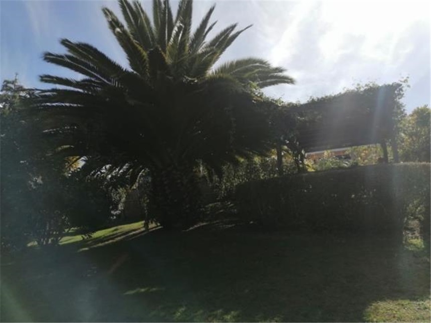 Casa en venta en San Cayetano, La Calera · foto 3 de 24