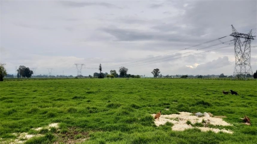 Finca en venta en Los Arboles, Madrid · foto 17 de 23