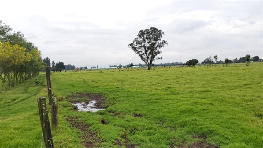 Finca en venta en Los Arboles, Madrid · foto 11 de 23