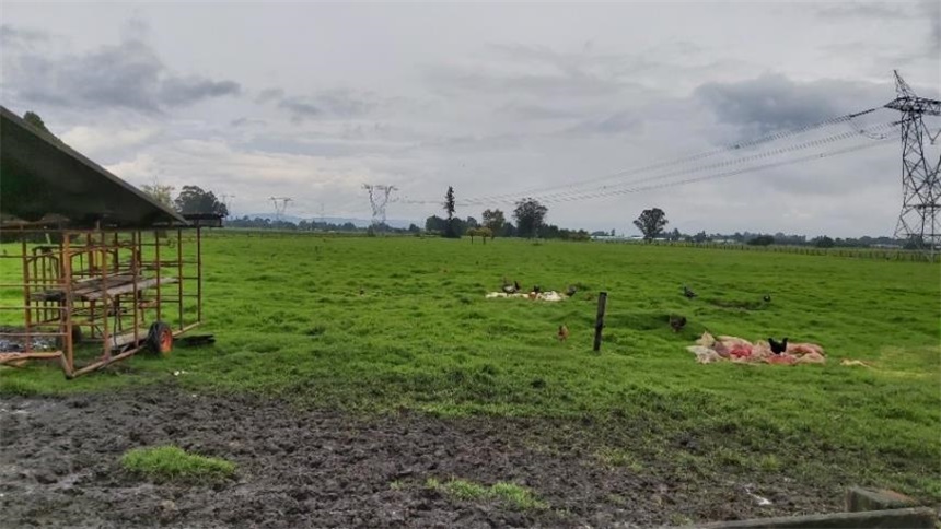 Finca en venta en Los Arboles, Madrid · foto 14 de 23