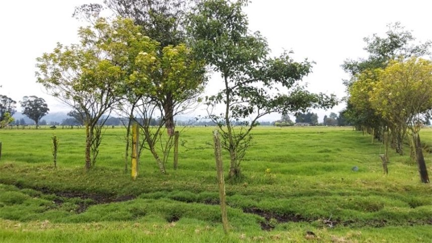 Finca en venta en Los Arboles, Madrid · foto 10 de 23