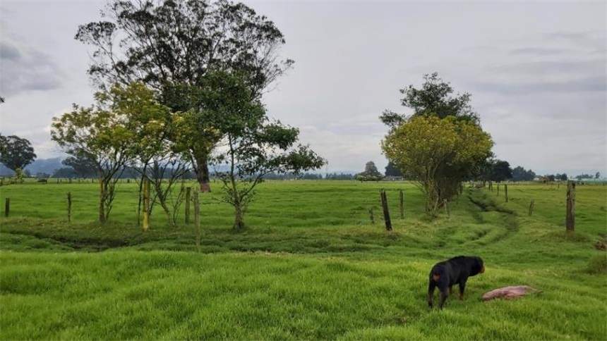 Finca en venta en Los Arboles, Madrid · foto 9 de 23