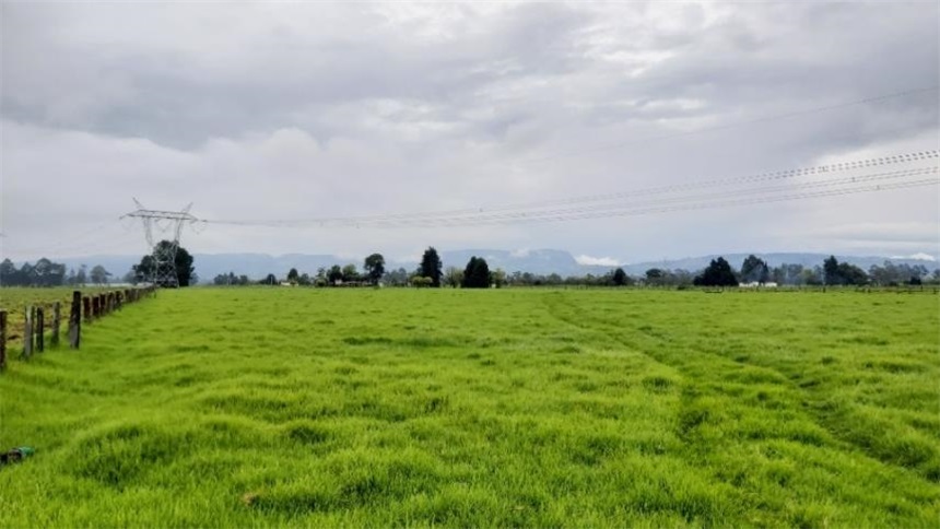 Finca en venta en Los Arboles, Madrid · foto 7 de 23