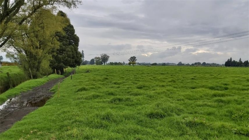 Finca en venta en Los Arboles, Madrid · foto 19 de 23