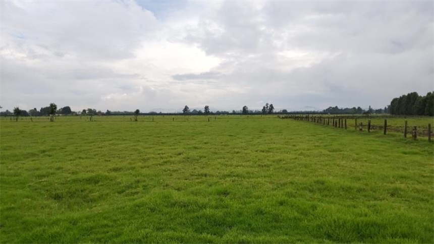 Finca en venta en Los Arboles, Madrid · foto 6 de 23