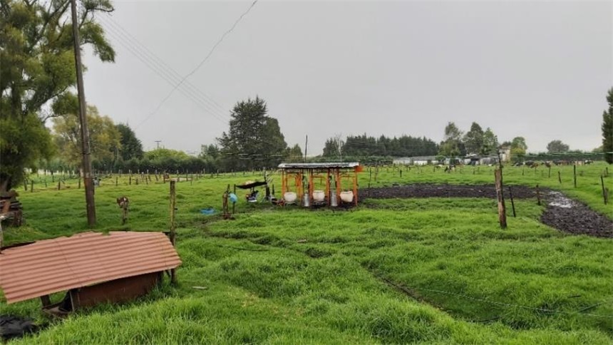 Finca en venta en Los Arboles, Madrid, 96000 m² · foto 14 de 18