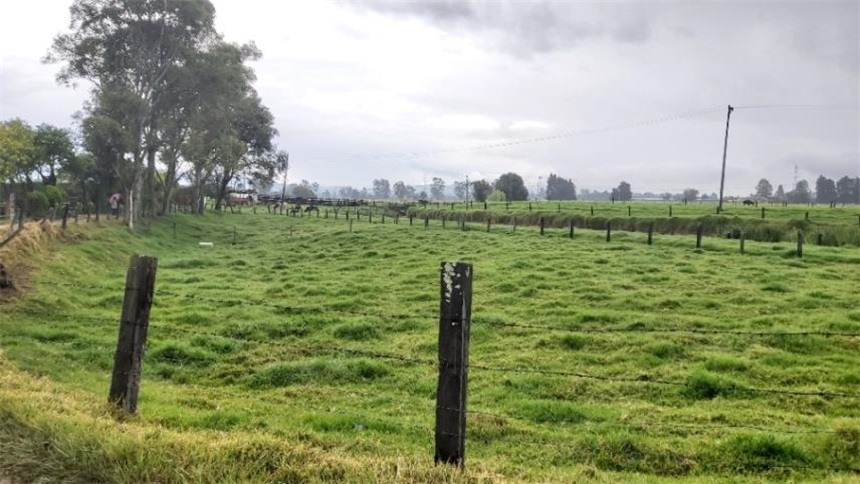 Finca en venta en Los Arboles, Madrid, 96000 m² · foto 4 de 18
