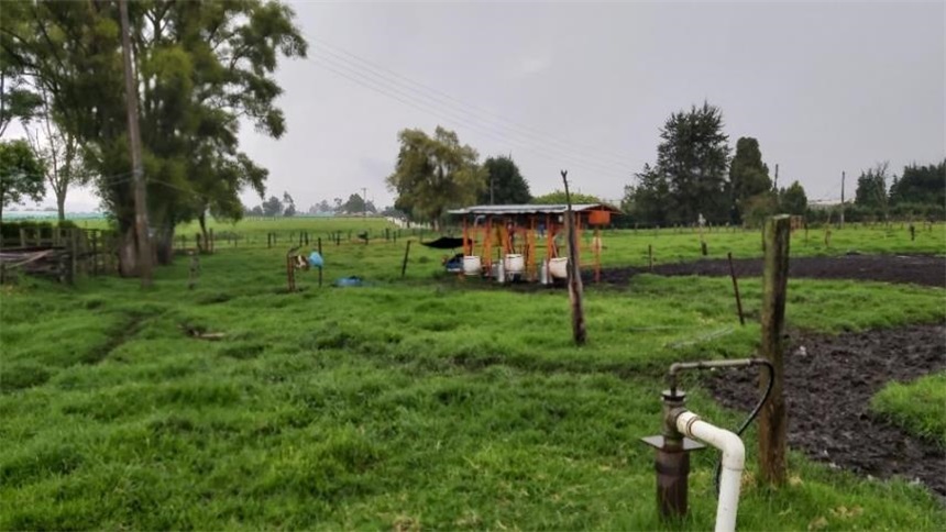 Finca en venta en Los Arboles, Madrid, 96000 m² · foto 15 de 18