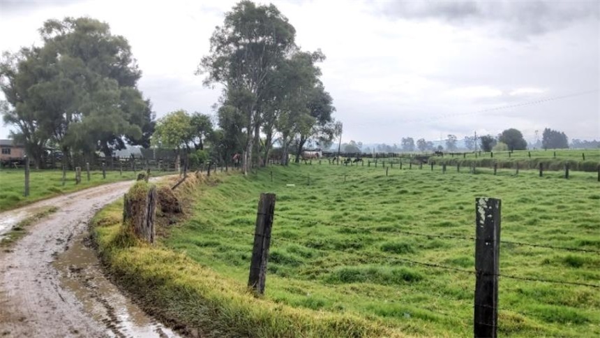 Finca en venta en Los Arboles, Madrid, 96000 m² · foto 5 de 18