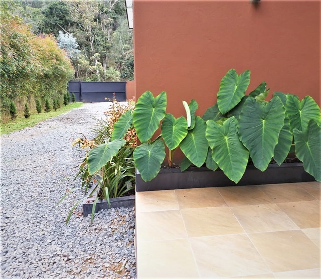 Casa de 2 alcobas en venta en Loma Del Escobero, Envigado, 400 m² · foto 9 de 11