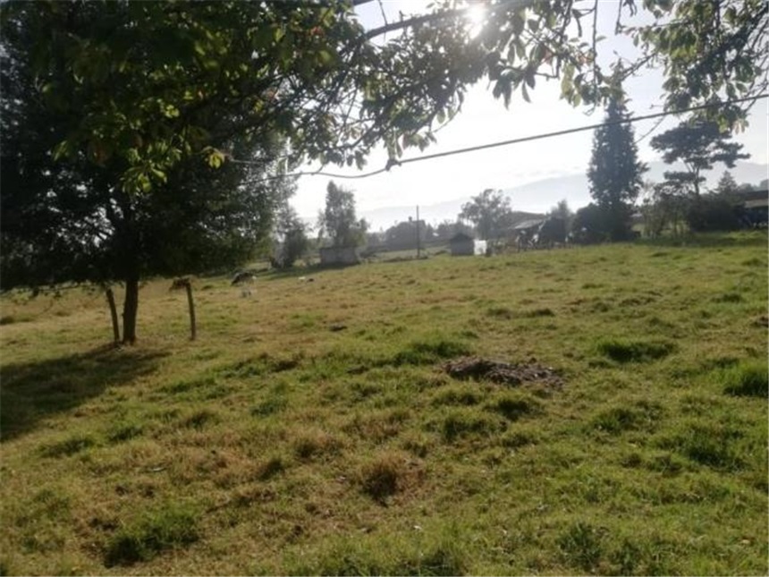 Lote en venta en Fonquetá, Chía, 6915 m² · foto 7 de 16