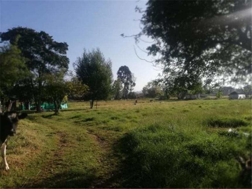 Lote en venta en Fonquetá, Chía, 6915 m² · foto 11 de 16