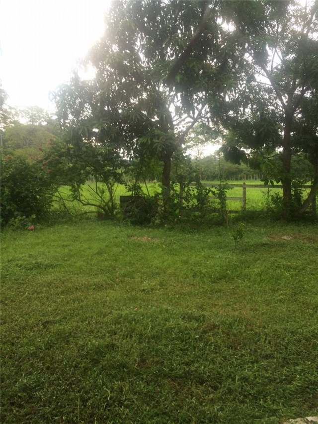 Finca en Arriendo - Näkymä 2