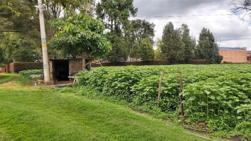 Casa Lote en Venta - Ansicht 2