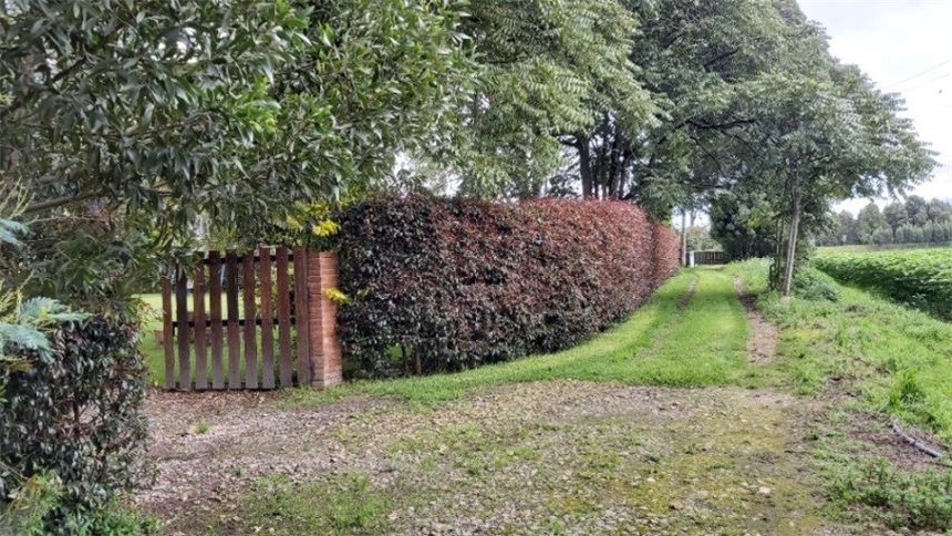 Casa Lote en Venta - Ansicht 4