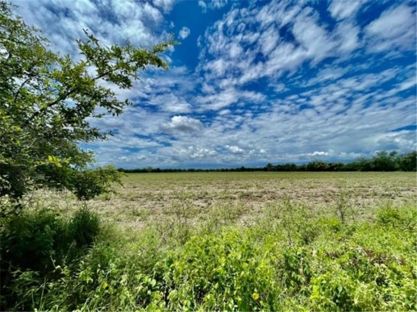Finca en Venta – pohled 6