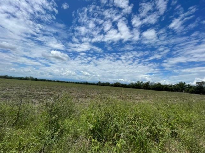 Finca en Venta – pohled 5
