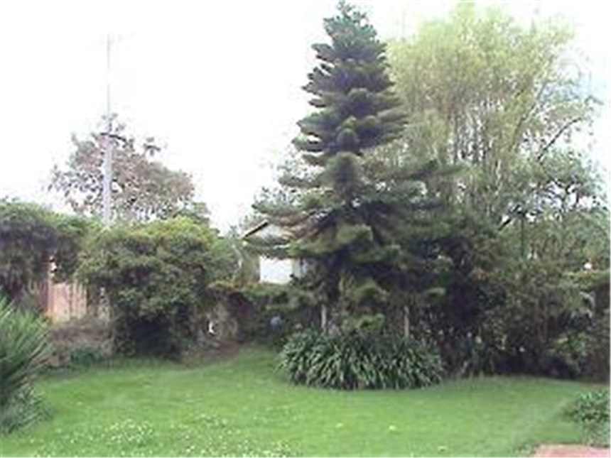 Casa Lote en Venta - View 2