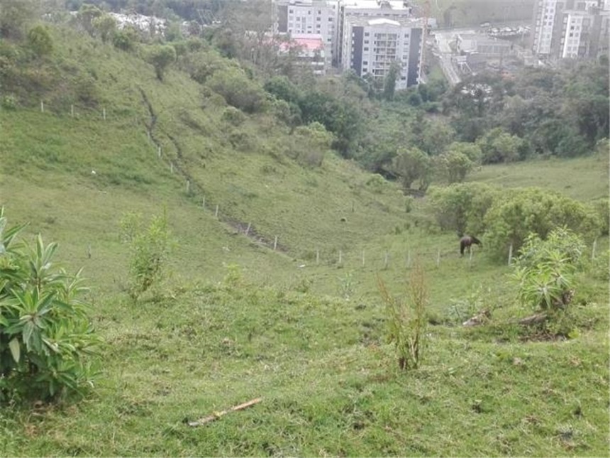 Lote en venta en Cerro De Oro, Manizales, 3450 m² · foto 8 de 9