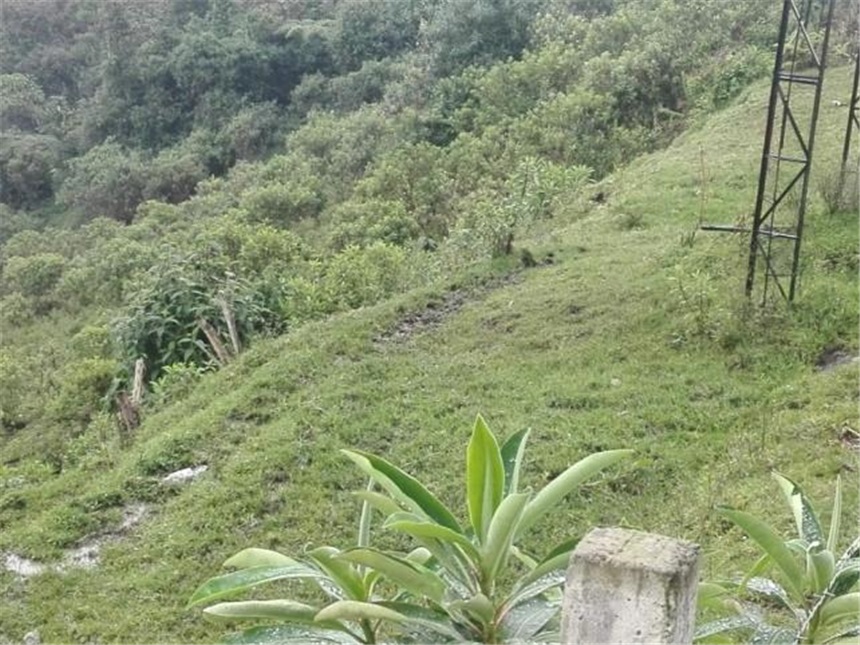 Lote en venta en Cerro De Oro, Manizales, 3450 m² · foto 7 de 9