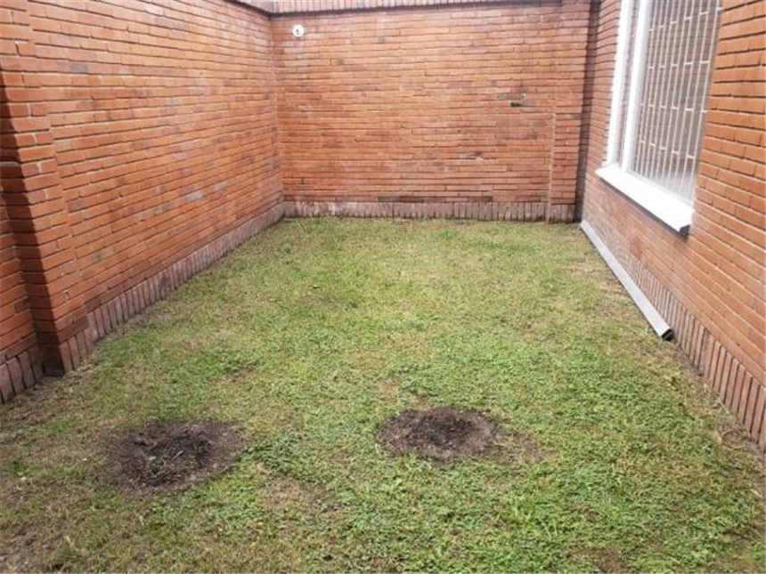 Casa de 5 alcobas en venta en Cedritos, Bogotá, 300 m² · foto 8 de 14