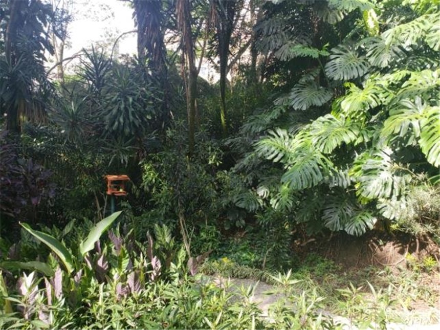 Casa de 3 alcobas en venta en San Lucas, Medellín, 310 m² · foto 19 de 24