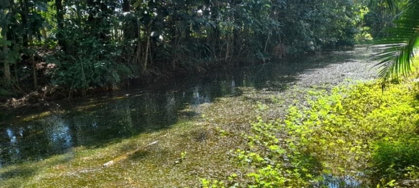 Lote en venta en Vanguardia, Villavicencio, 2450 m² · foto 16 de 24