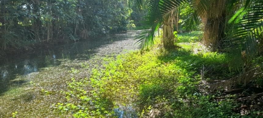 Lote en venta en Vanguardia, Villavicencio, 2450 m² · foto 17 de 24