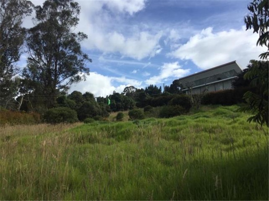 Lote en venta en Yerbabonita Bosque Nativo, Sopó, 2110 m² · foto 5 de 24