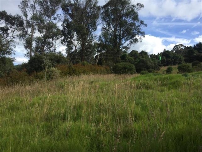 Lote en venta en Yerbabonita Bosque Nativo, Sopó, 2110 m² · foto 6 de 24