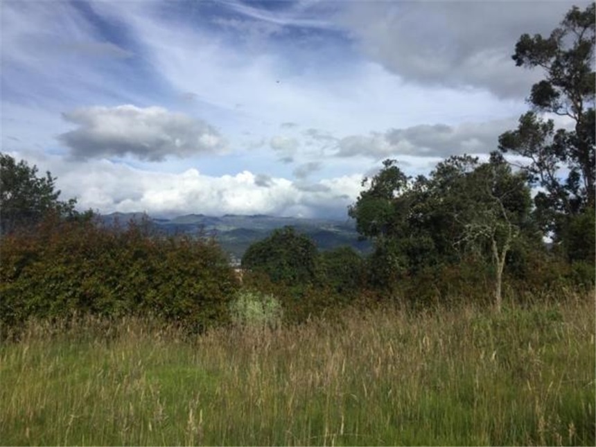 Lote en venta en Yerbabonita Bosque Nativo, Sopó, 2110 m² · foto 2 de 24