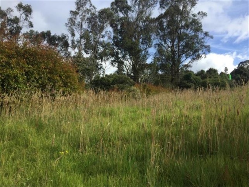 Lote en venta en Yerbabonita Bosque Nativo, Sopó, 2110 m² · foto 15 de 24