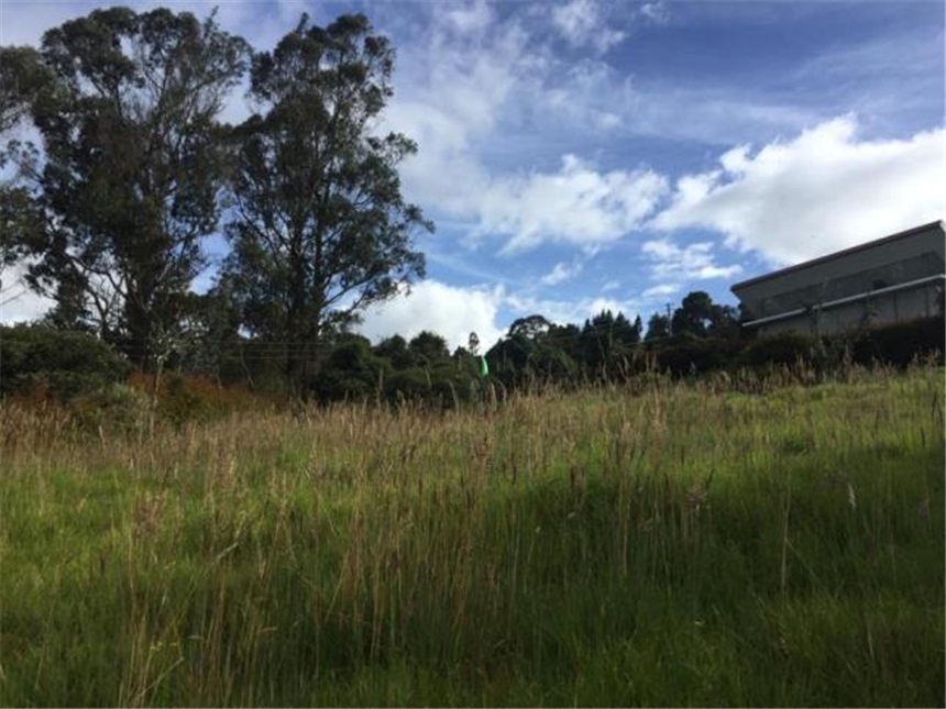 Lote en venta en Yerbabonita Bosque Nativo, Sopó, 2110 m² · foto 14 de 24