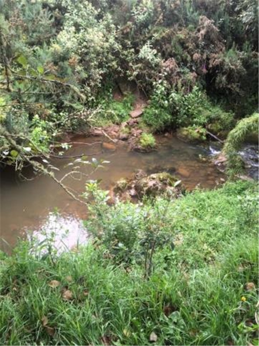 Finca en Venta