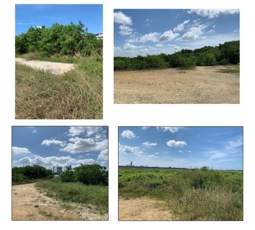 Lote en Arriendo - Vista 2