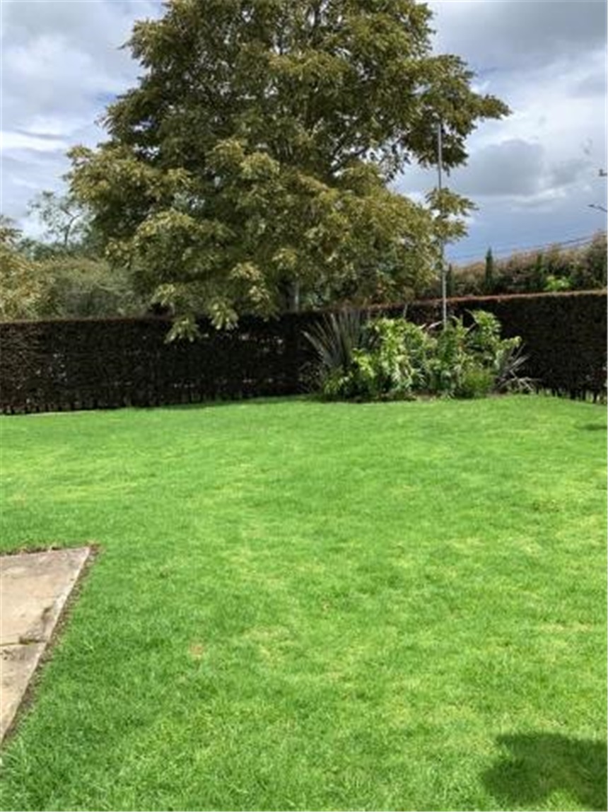 Casa en venta en Casa Blanca, Bogotá · foto 13 de 24