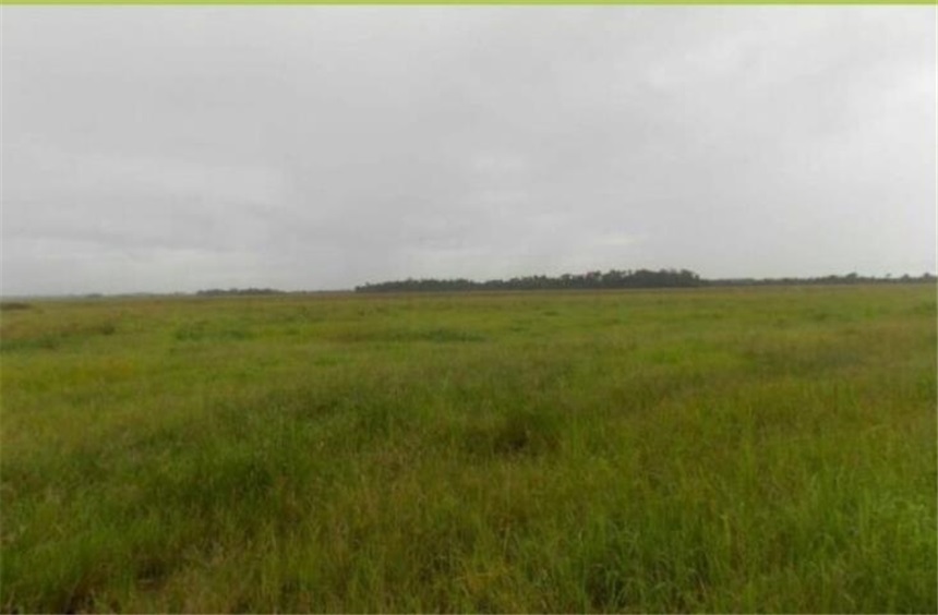 Lote en venta en Alto De Pompeya, Villavicencio, 150 m² · foto 3 de 6