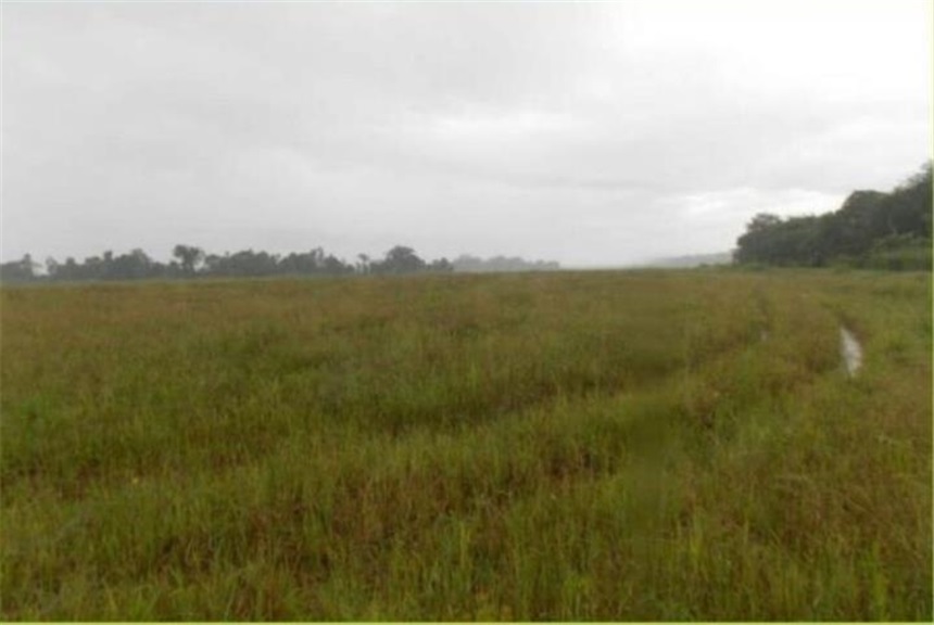 Lote en venta en Alto De Pompeya, Villavicencio, 150 m² · foto 4 de 6