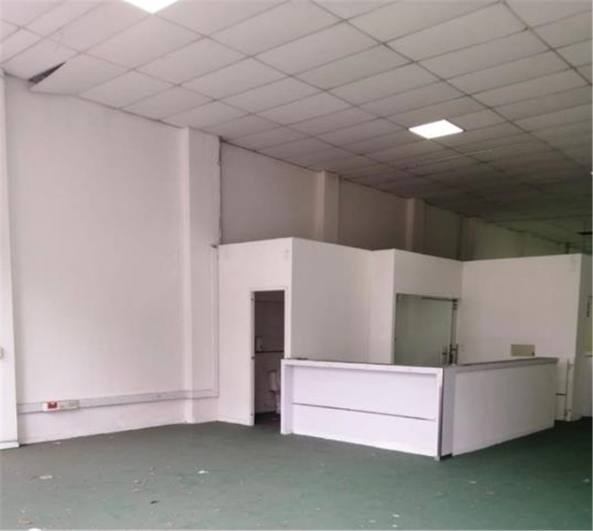 Local en Arriendo - Más