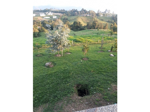 Finca en Venta - Поглед 6