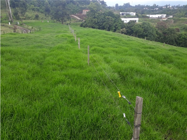 Finca en Venta - Повеќе