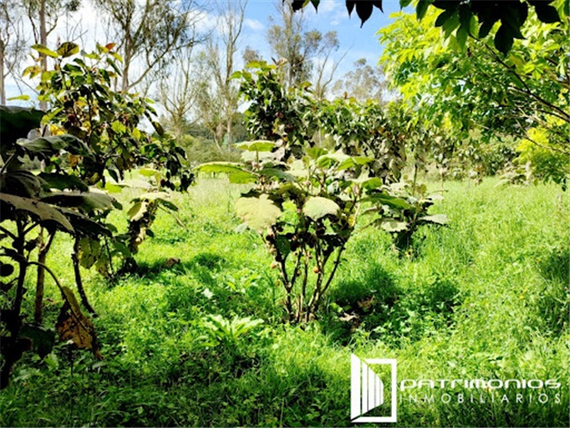 Casa de 4 alcobas en venta en Marquez, La Calera, 276 m² · foto 21 de 21