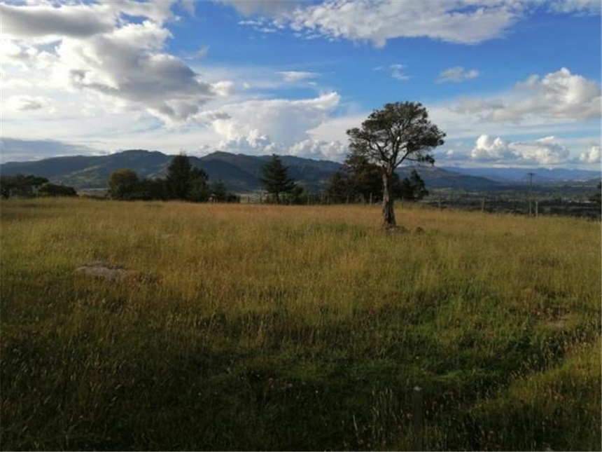 Lote en venta en La Plazuela, La Calera, 10000 m² · foto 10 de 12