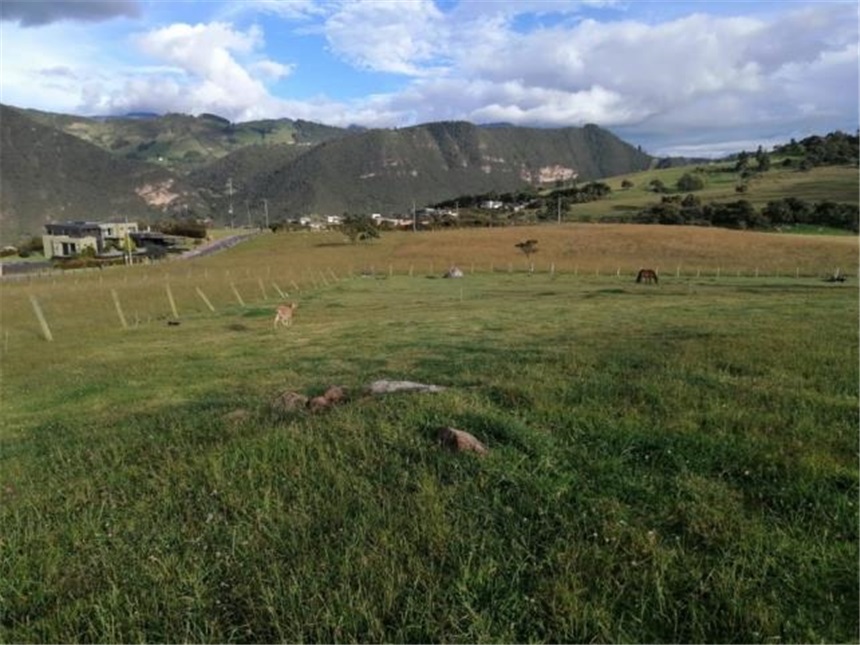 Lote en venta en La Plazuela, La Calera, 10000 m² · foto 3 de 12
